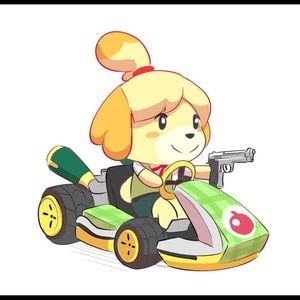 Meet your Posher, Lori